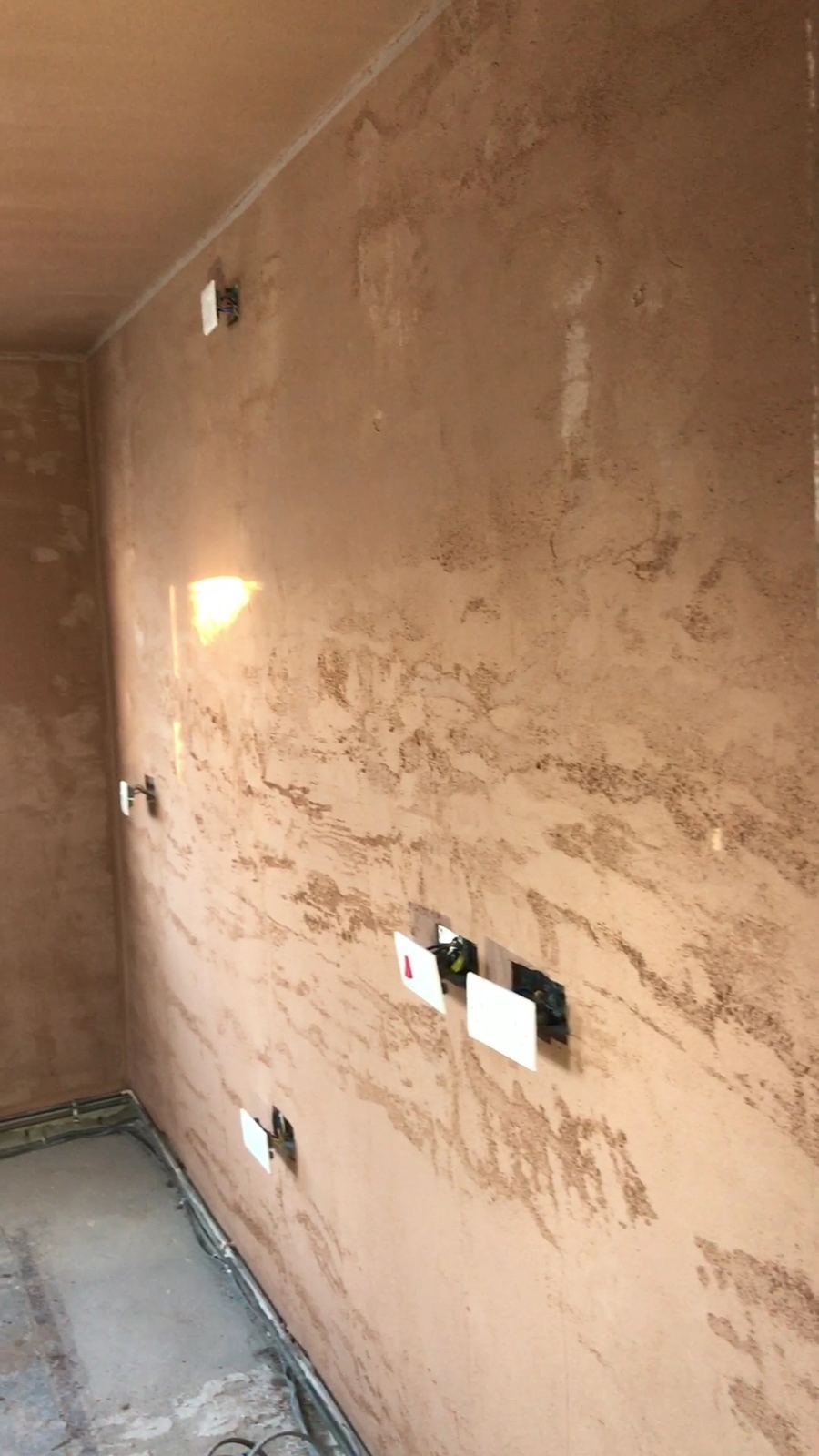 Fresh skim drying on a wall